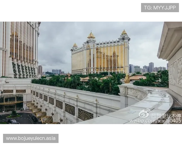 澳门银河娱乐集团有限公司官方入口推荐，提供最新网址信息，保障玩家安全与权益